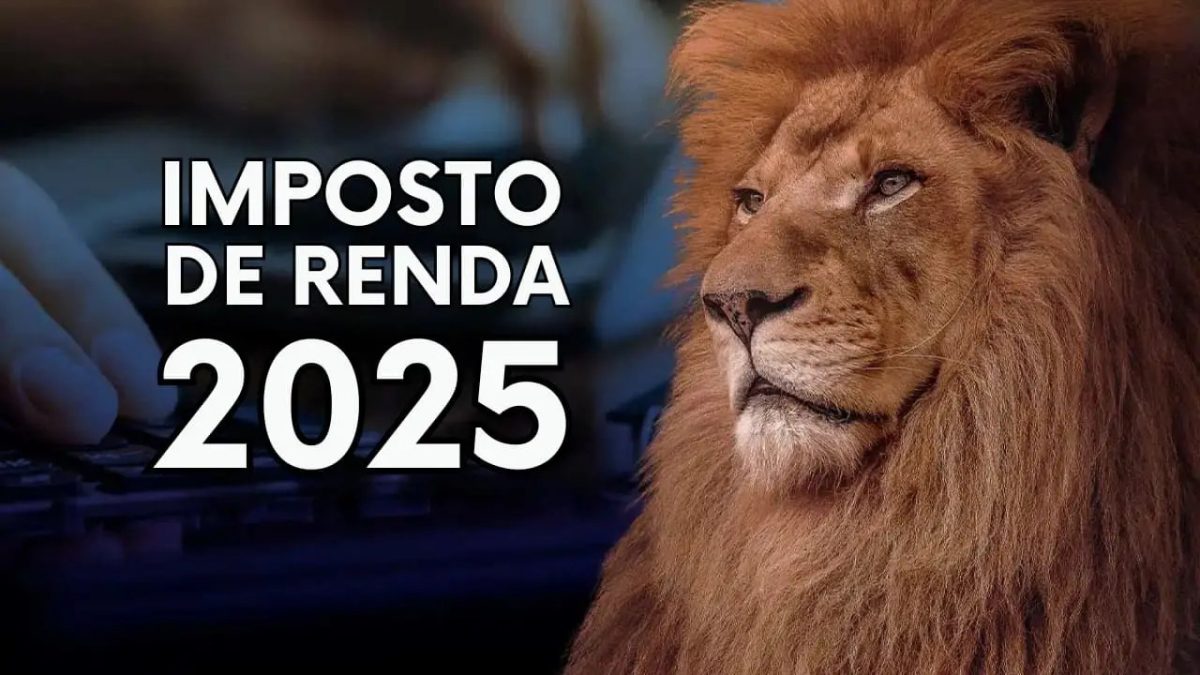 Como o brasileiro usará a restituição do IR?