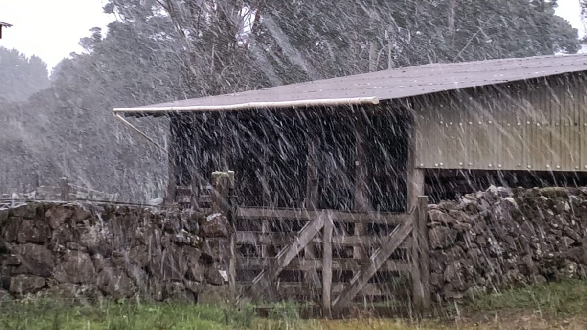 São José dos Ausentes registra neve nesta quinta-feira