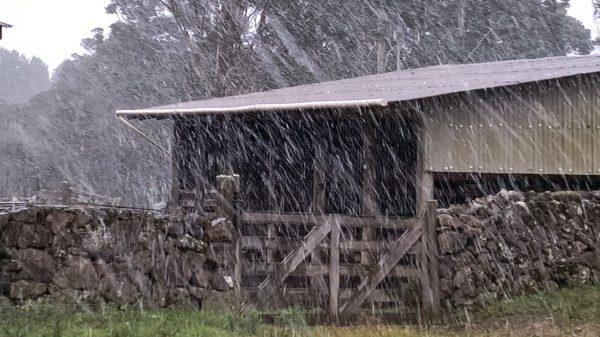 São José dos Ausentes registra neve nesta quinta-feira