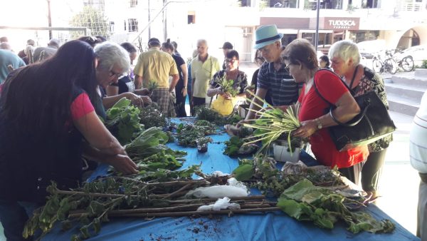 Ação alusiva a semana do alimento orgânico ocorre nesta quarta-feira