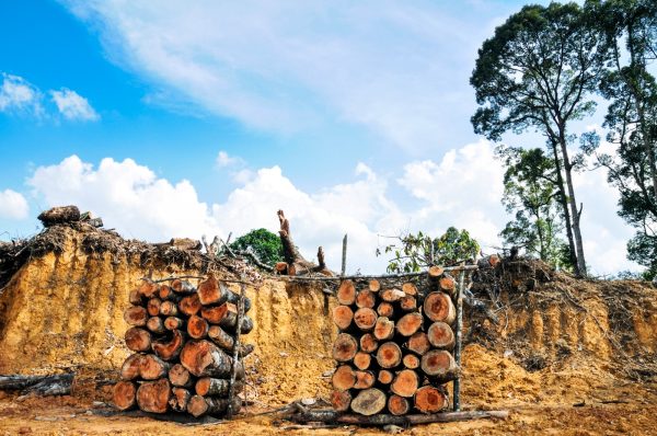 Projeto altera regras para licenças ambientais