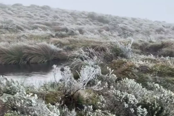 Serra catarinense registra primeira neve de 2025