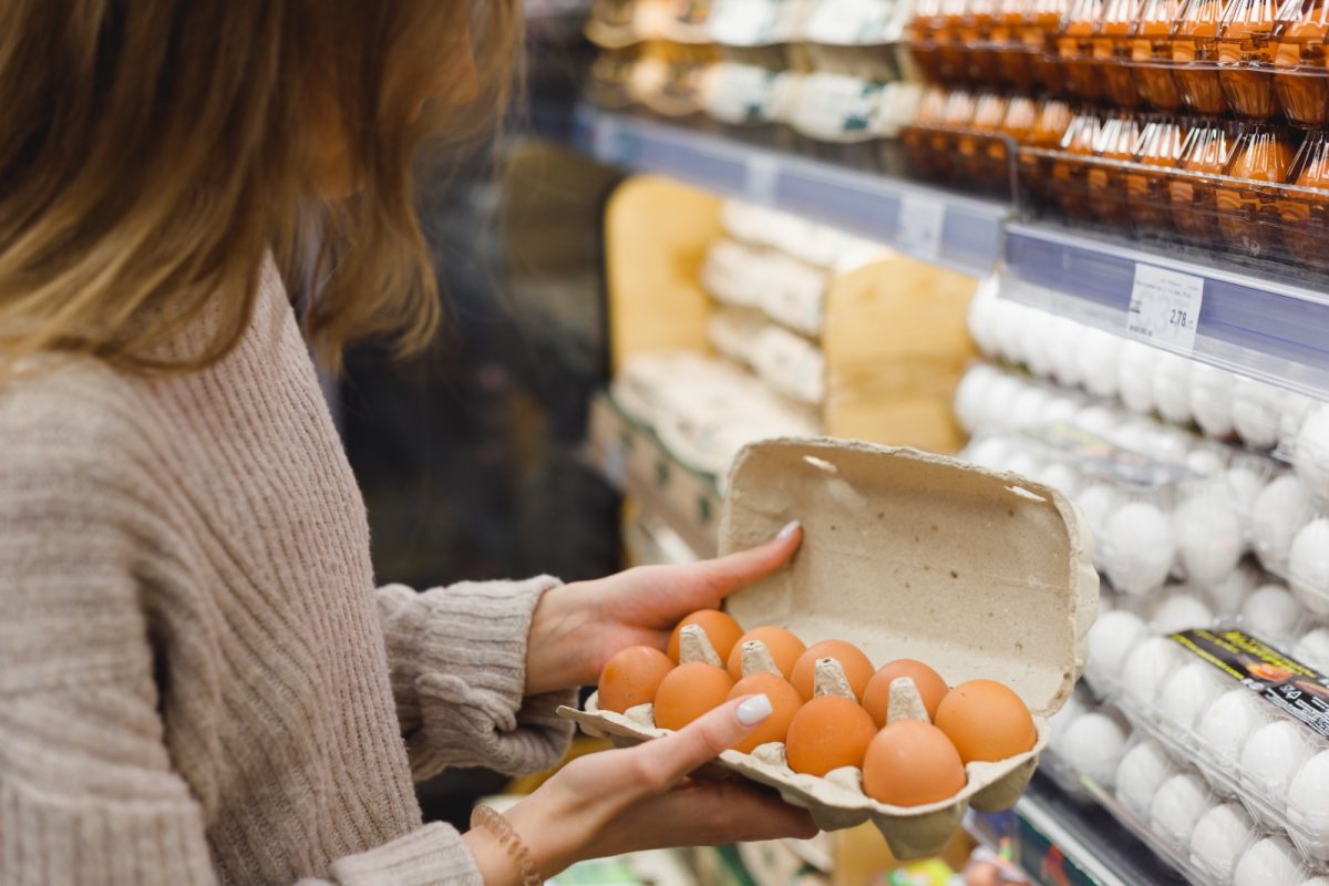 Ovos brasileiros avançam em novos mercados