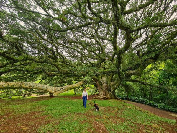 Comunidade é convidada a participar da construção do turismo em Venâncio Aires