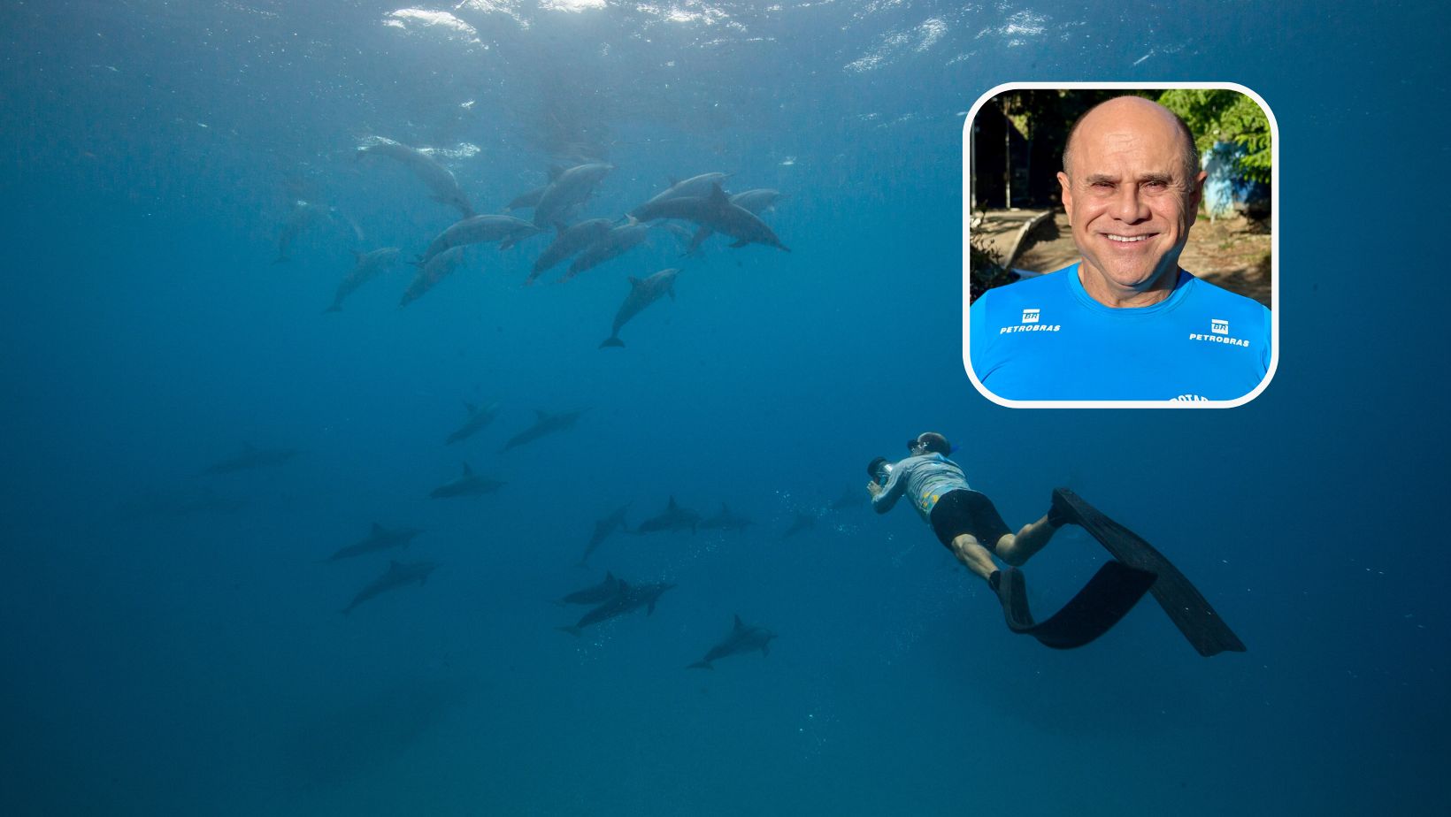 “Entendi como um presente trabalhar com os golfinhos”