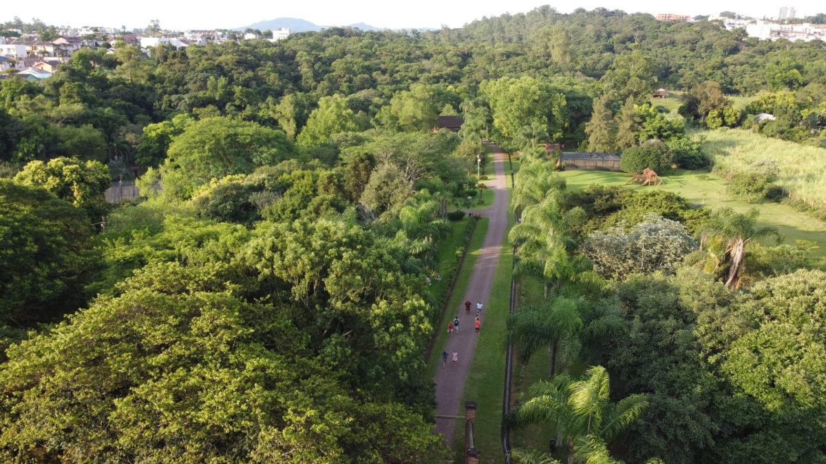 Gestão de resíduos pós-calamidades