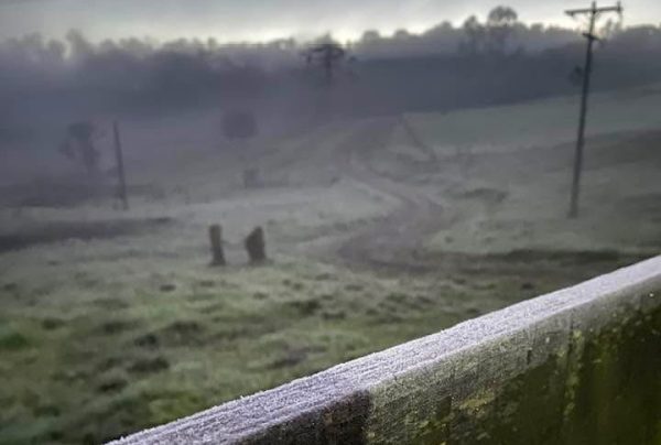 Frio intenso e geada permanecem nos próximos dias no Vale