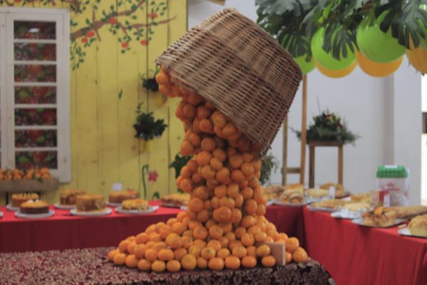 De uma festa comunitária a tradição regional