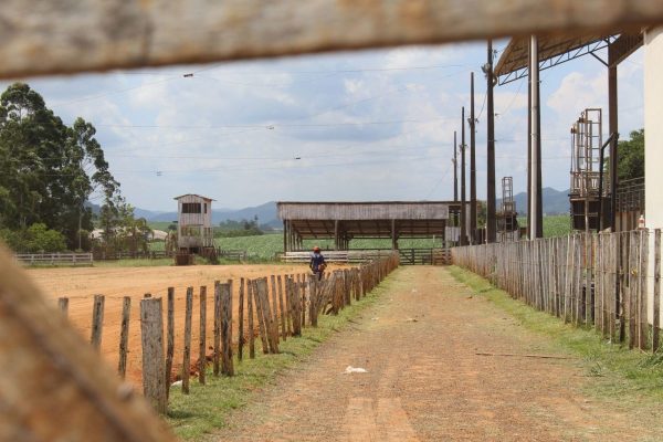 Rodeio Crioulo reúne laçadores e famílias em Lajeado