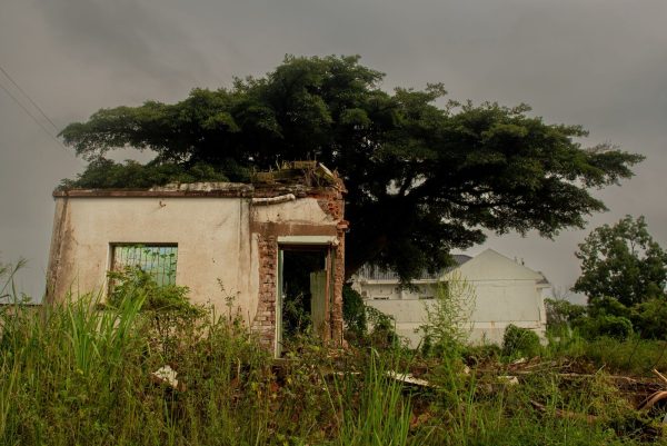 Exposições fotográficas retratam os impactos das inundações no Vale do Taquari