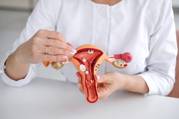 Ciência amplia olhar sobre condição que afeta milhões de mulheres