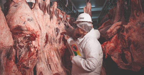 Rússia reconhece Brasil livre de febre aftosa sem vacinação 