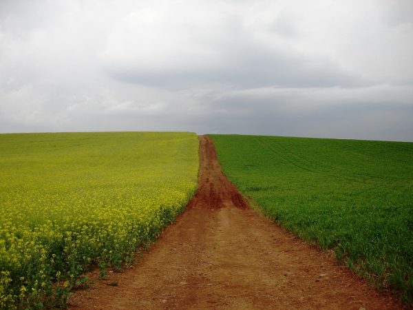 El Niño reforça importância da rotação nas lavouras