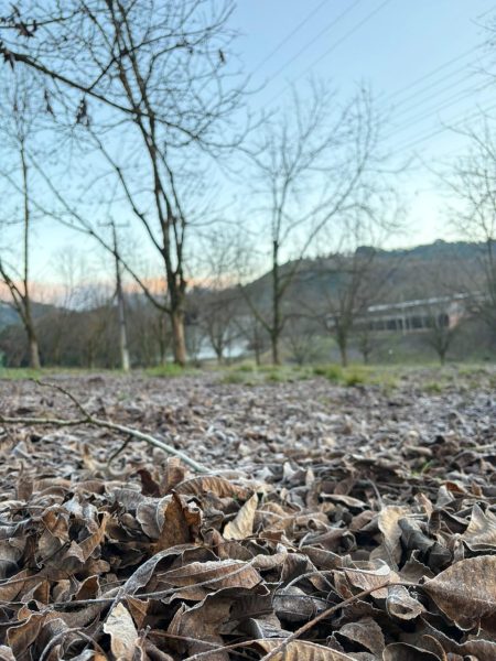 Massa de ar frio favorece geadas e mantém tempo firme no Vale