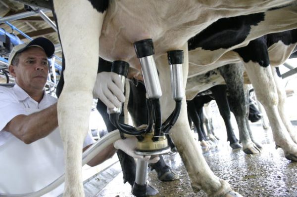 Famurs lança campanha para estimular consumo de leite