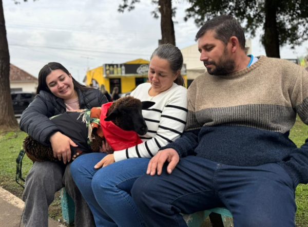 Carneiro ganha destaque em evento de Taquari