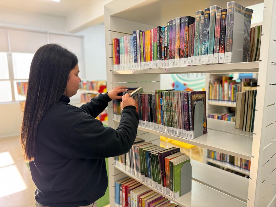 Biblioteca Pública e Arquivo Histórico registram aumento no número de visitantes