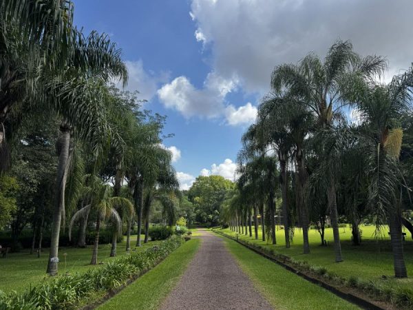 Lajeado recebe passeio guiado pelo Jardim Botânico