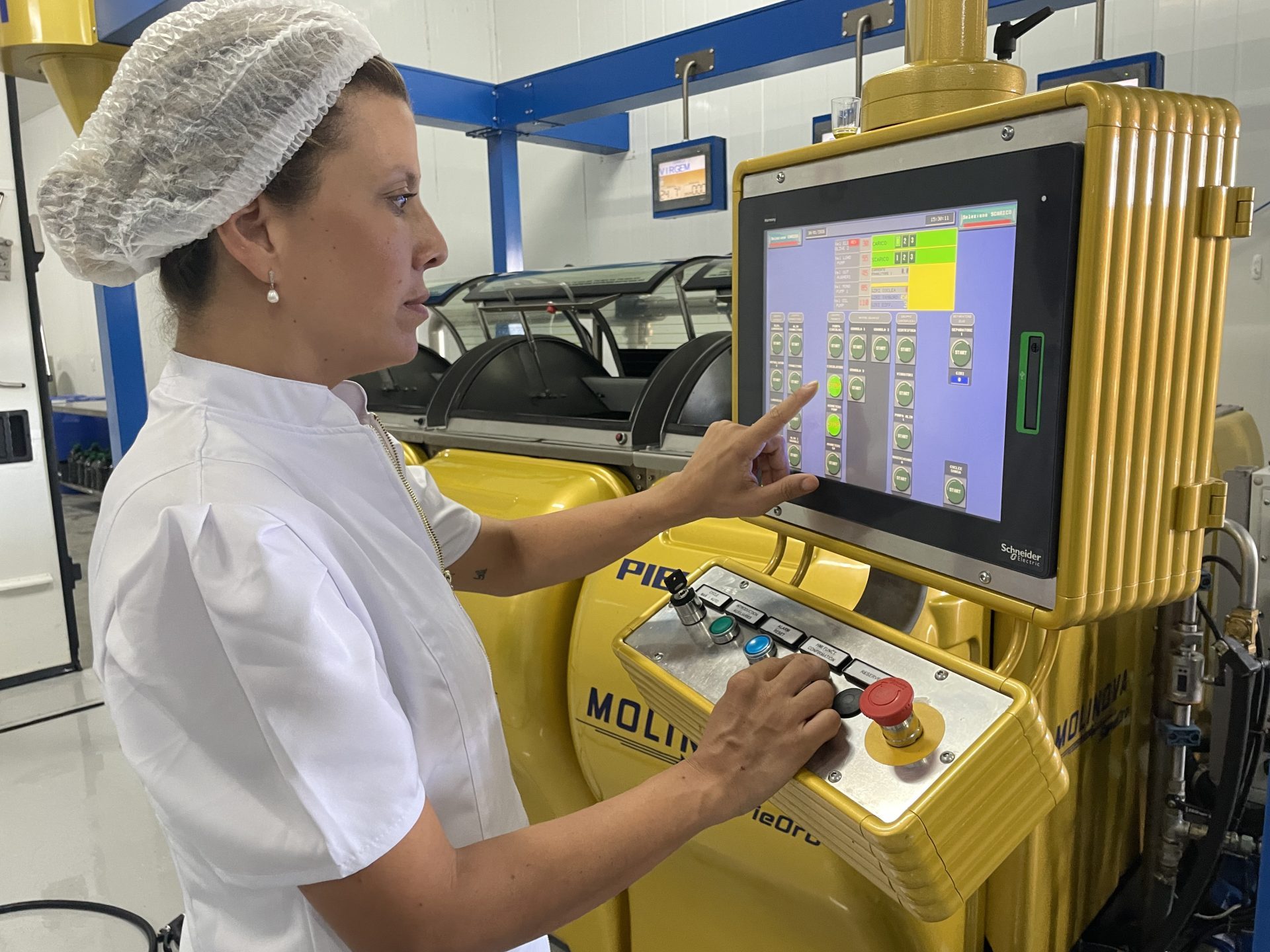 Pesquisa fortalece olivicultura e cachaça gaúchas