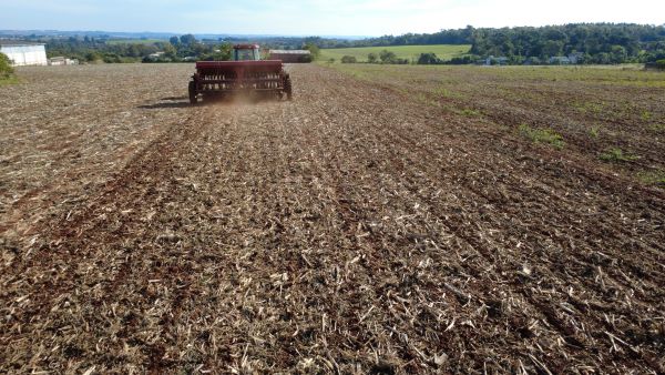 Agricultores aproveitam reabertura para finalizar semeadura