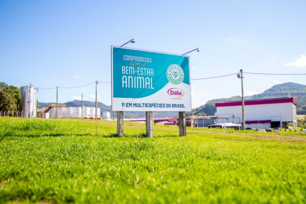 Dália conquista o mais alto nível na certificação Bem-Estar Único