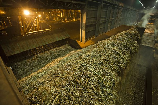 Moagem de cana cai 28,4% no Centro-Sul