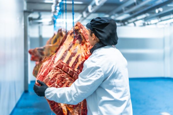 Boi gordo fecha semestre em alta, mas tendência é de recuo