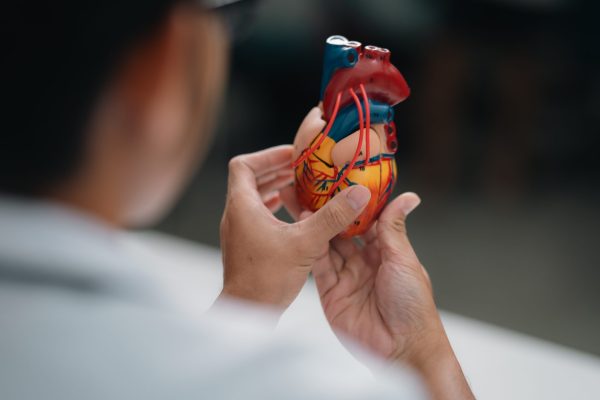 Cardiomiopatia hipertrófica: doença silenciosa que exige atenção