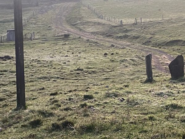 Fim de semana terá manhãs geladas, geada e predomínio do sol no Vale