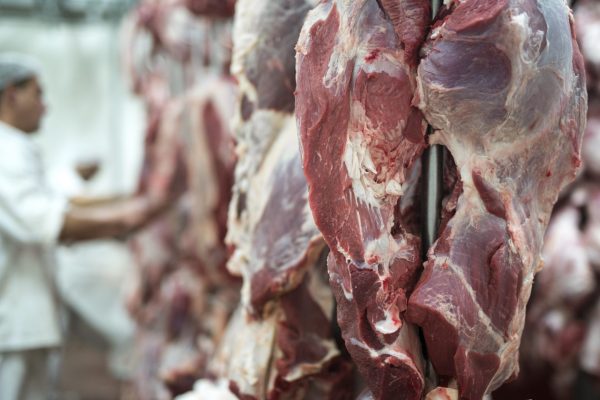 Frigoríficos esgotam cota à China e ajustam abates