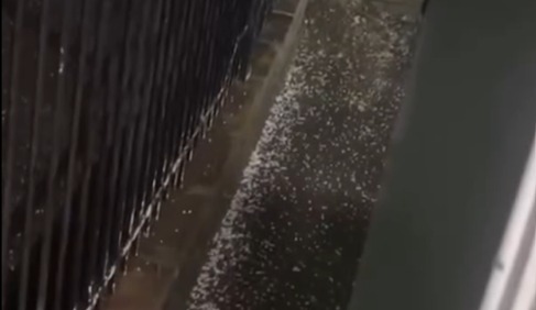Granizo atinge Venâncio Aires durante passagem de temporal