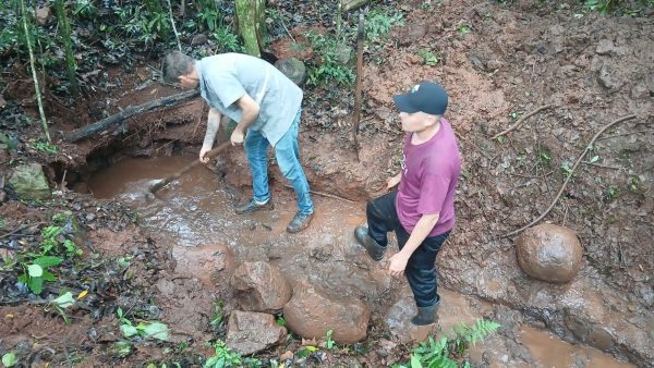 Parque de Mato Leitão recebe ação de preservação de nascente