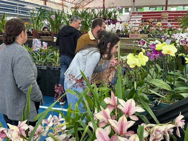 Exposição de Orquídeas reúne público e supera venda de 5 mil plantas