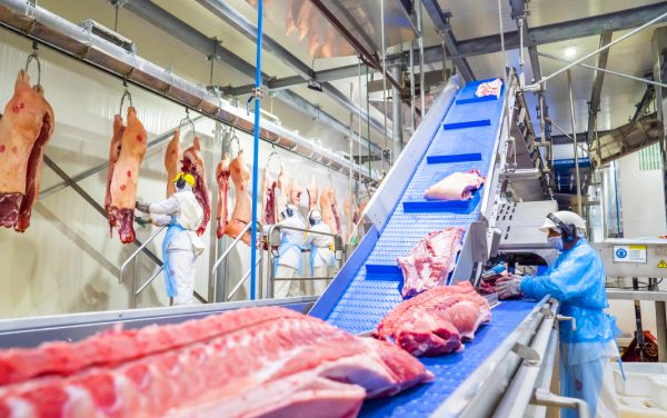Produção de carnes deve ultrapassar 34 milhões de toneladas