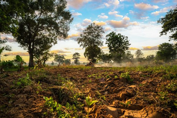 Farsul cobra ações contra crise do diesel no Estado