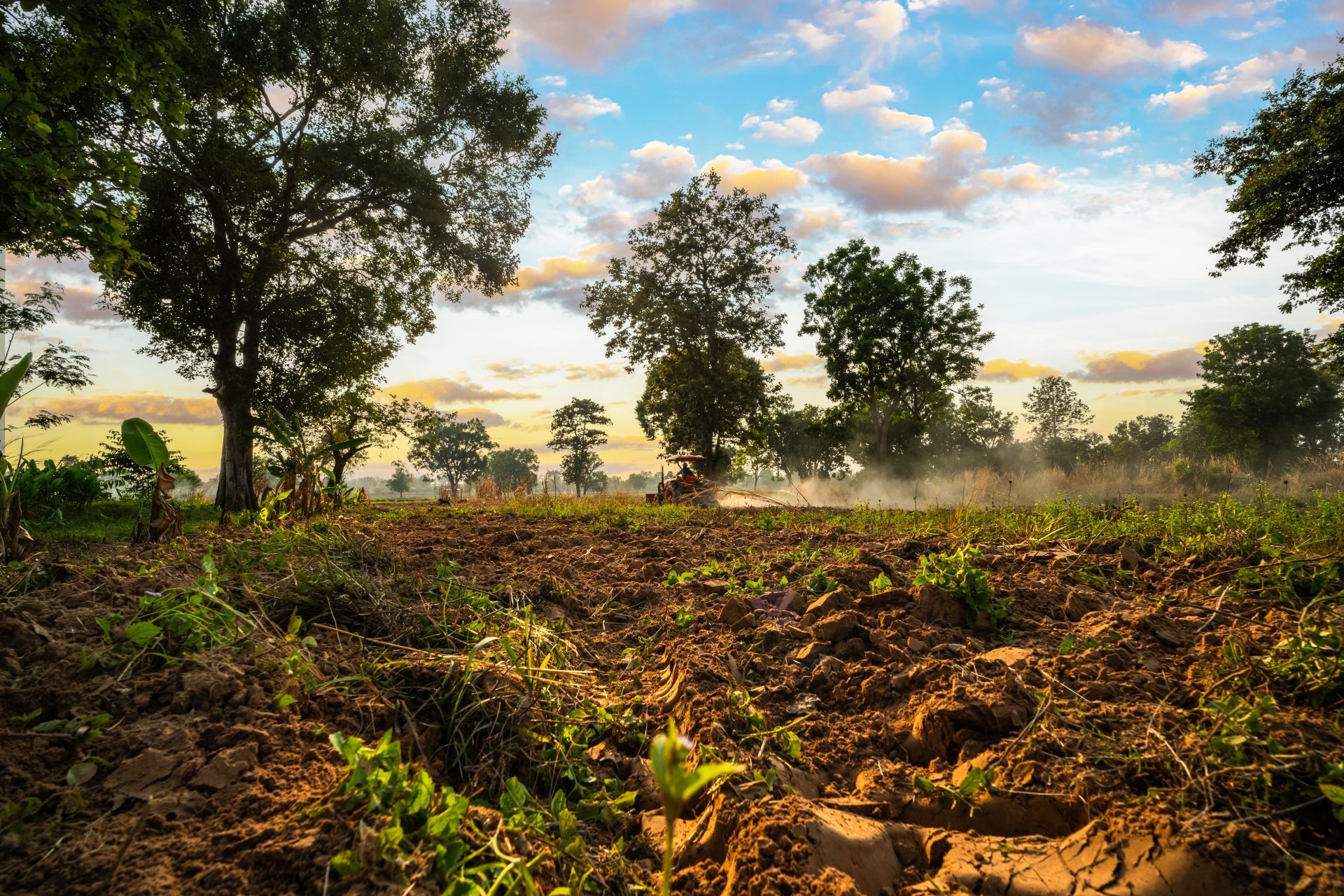 Farsul cobra ações contra crise do diesel no Estado